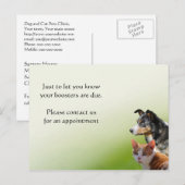 Herinnering voor vaccinatie tegen Pet vet Briefkaart (Voorkant / Achterkant)