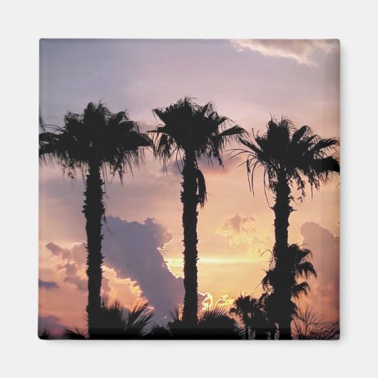 Herinneringen aan palmbomen bij zonsondergang | Li Magneet (Voorkant)