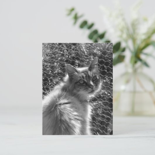 Herinneringen Briefkaart (Staand voorkant)