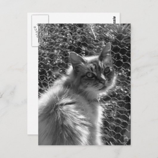 Herinneringen Briefkaart (Voorkant / Achterkant)