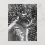 Herinneringen Briefkaart (Voorkant)