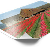 herinneringen van de lente. foto afdruk (Hoek)