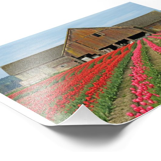 herinneringen van de lente. foto afdruk (Hoek)