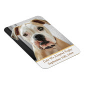 Herinneringen voor Pet Adoption Photo Magnet Magneet (Rechterzijde)