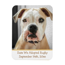 Herinneringen voor Pet Adoption Photo Magnet Magneet