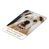 Herinneringen voor Pet Adoption Photo Magnet Magneet (Linkerzijde)