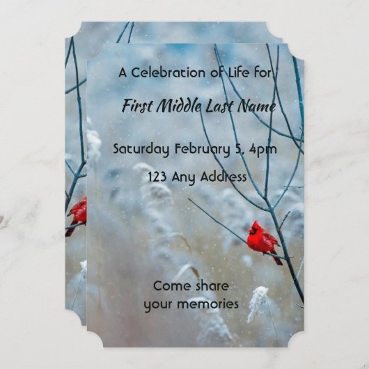 Herinneringsfoto Geschenk Kardinaal Rode Vogel Kaart (Voorkant / Achterkant)