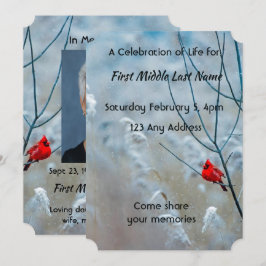 Herinneringsfoto-prentje Kardinaal Rode Vogel Kaart