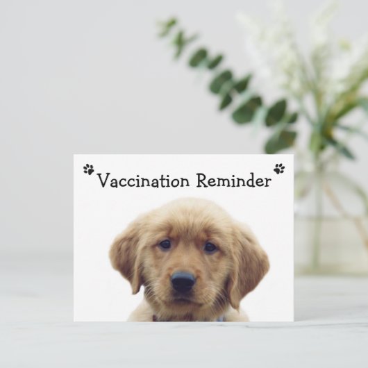 Herinneringsherinnering diergeneesmiddel Briefkaar Briefkaart (Staand voorkant)