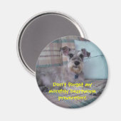 Herinneringsmagneet voor hartworm magneet (Voorkant / Achterkant)