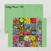 Heritage Flowers - VS Briefkaart (Voorkant / Achterkant)