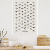 Herkauwers - Naturalist's Library Poster (Keuken)
