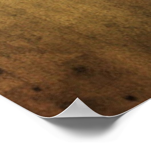 Herman Melville Poster (Hoek)