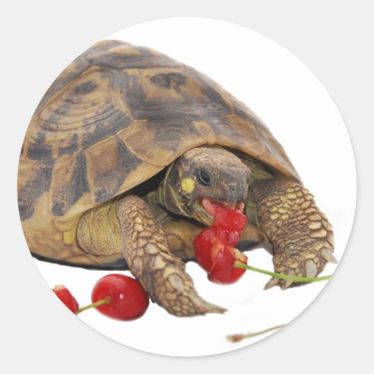 Hermann Tortoise en aardbeien Ronde Sticker (Voorkant)