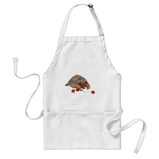 Hermann Tortoise en aardbeien Standaard Schort (Voorkant)