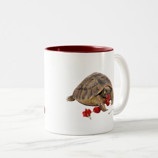 Hermann Tortoise en aardbeien Tweekleurige Koffiemok (Voorkant rechts)
