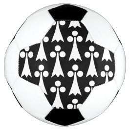 Hermelijnpatroon, Middeleeuws Patroon, Wit op Zwar Voetbal