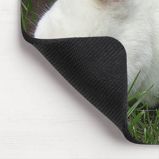 Hermelinkaninchen Muismat (Hoek)