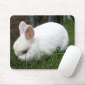 Hermelinkaninchen Muismat (Met muis)