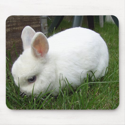 Hermelinkaninchen Muismat (Voorkant)