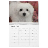 Hermes de Maltese agenda Kalender (Feb 2027)