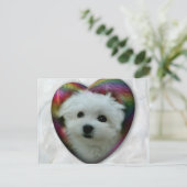 Hermes de Maltese Briefkaart (Staand voorkant)