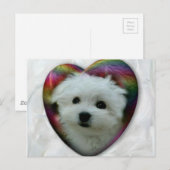 Hermes de Maltese Briefkaart (Voorkant / Achterkant)