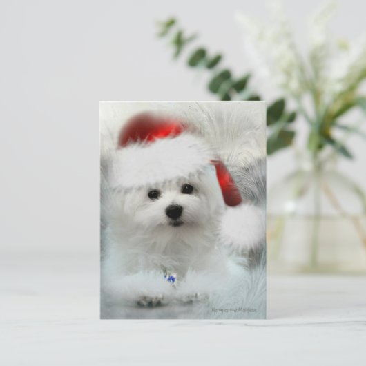 Hermes de Maltese Briefkaart (Staand voorkant)