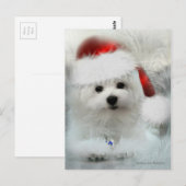 Hermes de Maltese Briefkaart (Voorkant / Achterkant)