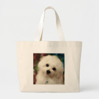Hermes de Maltese