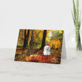 Hermes de Maltese Kaart (Voorkant)