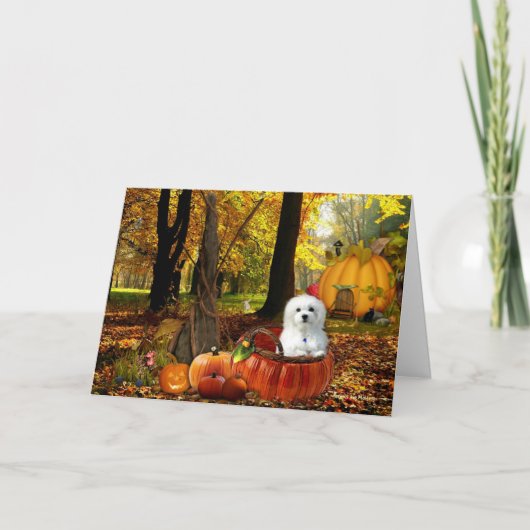 Hermes de Maltese Kaart (Voorkant)