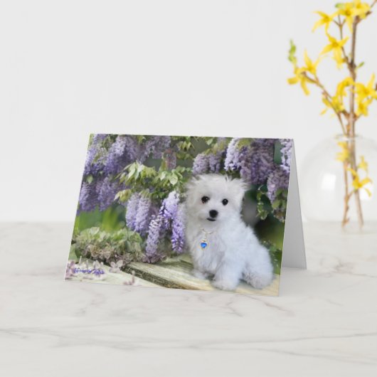 Hermes de Maltese Kaart (Gele Bloem)