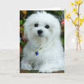 Hermes de Maltese Kaart (Gele Bloem)