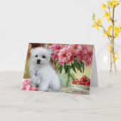 Hermes de Maltese Kaart (Gele Bloem)