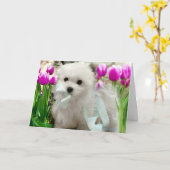 Hermes de Maltese Kaart (Gele Bloem)