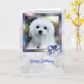 Hermes de Maltese Kaart van de Verjaardag (Gele Bloem)