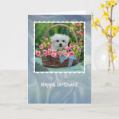 Hermes de Maltese Kaart van de Verjaardag (Gele Bloem)