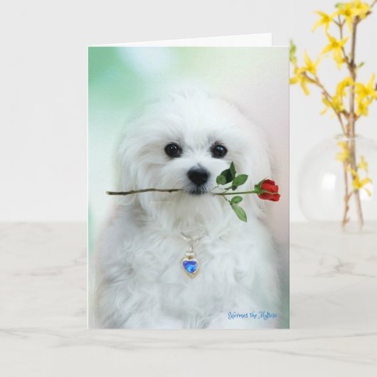 Hermes de Maltese Kaart van de Verjaardag (Gele Bloem)