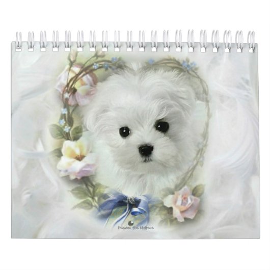Hermes de Maltese Kalender (Hoes)
