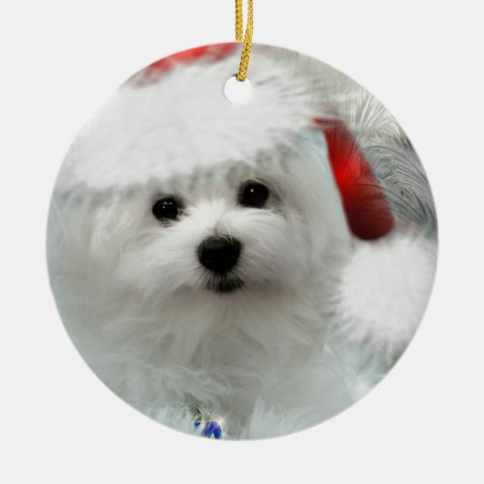Hermes de Maltese Keramisch Ornament (Voorkant)
