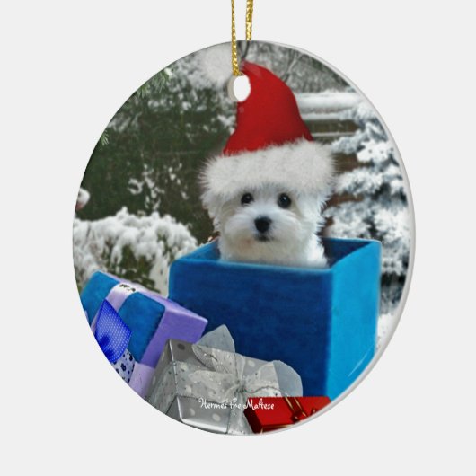 Hermes de Maltese Keramisch Ornament (Links)