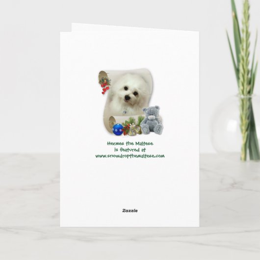 Hermes de Maltese kerst Kaart (Achterkant)