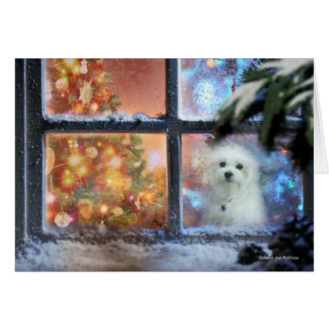 Hermes de Maltese kerstkaart (Voorkant Horizontaal)