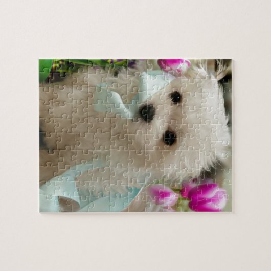 Hermes de Maltese Legpuzzel (Horizontaal)