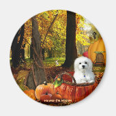 Hermes de Maltese Magneet (Voorkant)