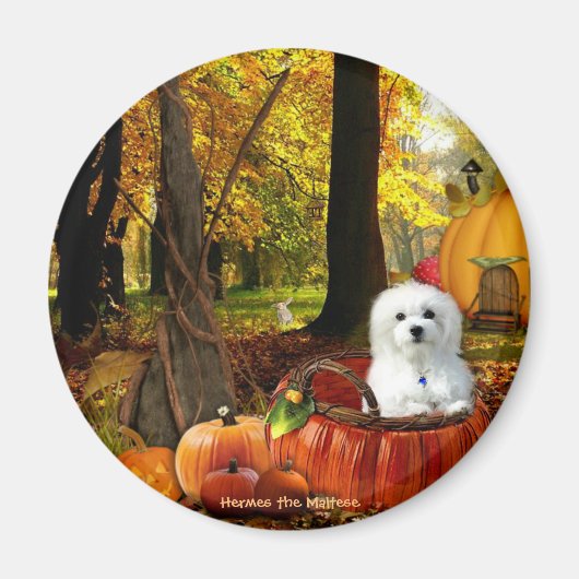 Hermes de Maltese Magneet (Voorkant)