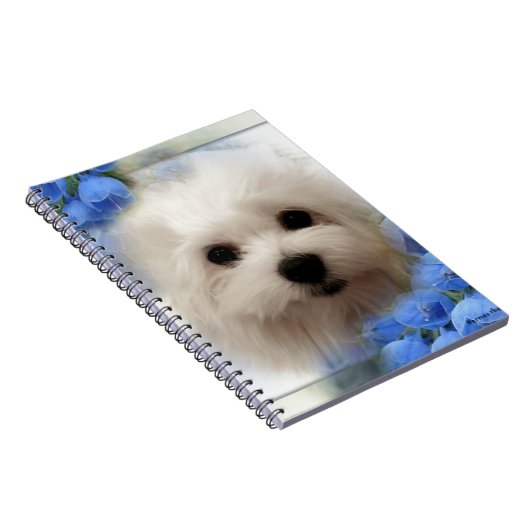 Hermes de Maltese Notitieboek (Rechterzijde)