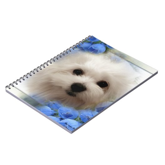 Hermes de Maltese Notitieboek (Linkerzijde)