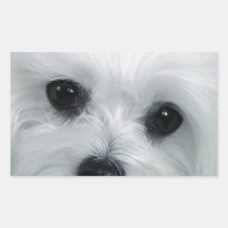 Hermes de Maltese Rechthoekige Sticker